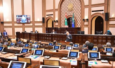 ނުގުޅިގެން ނޫޅޭތި! ހޮވުނީ ބުނިއެއްޗެއް ދީގެން!