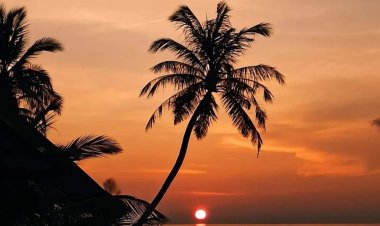 މަތީ ފެންވަރަކީ ބޮޑު މަގާމެއް އަގުބޮޑު ދިރިއުޅުމެއްނޫން