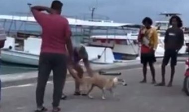 އަދާލަތުން އުފަންކުޅަ ސަލަފީ ވެރިކަމުގައި ބަޅުވެސް ހުއްދަވީ!؟