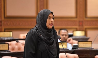 މާލޭ މީހުނަށް ގޯތިތައް ނުދޭނެކަން ސައުދާ ކޮށްދިނީ ކަށަވަރު