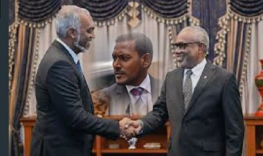 ޕީޖީ ޝަމީމަކީ މުއިއްޒުގެ ގޮޑިކޮއްކޮއެއް؟!