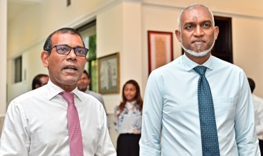 ދެ ދޯކޭބާޒުން ގުޅުމަށްޓަކާ ޔާމީނު ޖަލަށް!