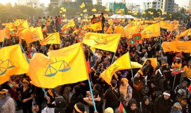 ޕީއެންސީއަކީ މޫސުމީ ސައިބޯނި ބޮތްކެއް!