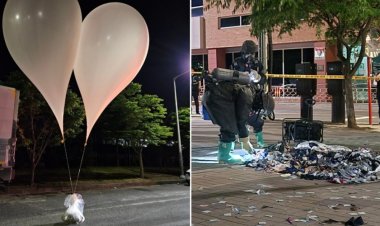 1500 ވުރެ ގިނަ  ކުނި ޕުއްޕާހަން ފޮނުވައިފި