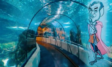 މުއިއްޒުގެ އަންޑަރވޯޓަރ ޓަނަލް މިހާރު ކޮބާ!