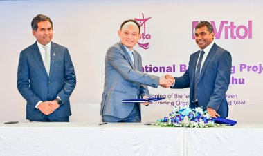 ވިޓޯލުން އެސްޓީއޯ ފޮރިބުއި މަސްގަނޑަކަށް ހަދާލާނެ!