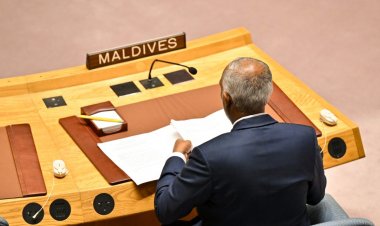 ސަލާމަތީ މަޖިލީހަށް ބަވާލުމަކީ އަމިއްލަފަޔަށް ބަޑިޖެހުން!