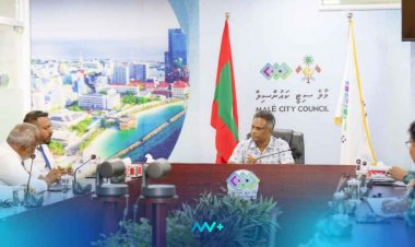 އެމްޑީޕީ ބަޔަކަށްވެގެން ކޮންސަލްޓެންޓް ކަމެއް ނުދޭ!