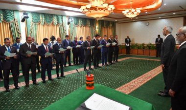 ވިއްކި ވަޒީރުކަން ވަތްކެއް ނުކުރެވޭނެ!