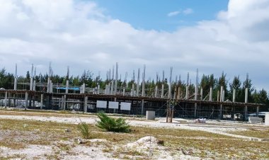 ހޯދި އިބޫ ނޫން ގޮތުން ހިންނަވަރަށް ވެސް ލިބުނީ ކޮޅުކެހި