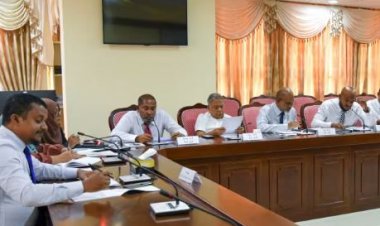 މަޖިލީހުގެ ގާނޫނީ ވާޖިބަށް ޕީއެންސީން ހުރަސް އަޅައިފި