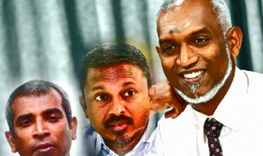 މުއިއްޒުގެ ގޮނޑިކޮއްކޮ ނިޔާޒީ އިސްތިއުފާދީ: ދީބާޖާ