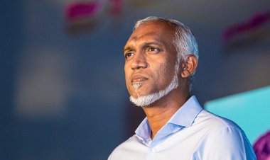 މުއިއްޒު ބޮކުބާރު ދެއްކިވަރަކަށް ކެނޑޭނީ ބޮލުރޮދި!