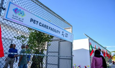 ކެޓްޝެލްޓަރ މުއިއްޒުގެ ފައިސާޖަހާ މެޝިނަކަށް ހެދުން