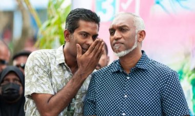 ދިމްޔާތާއި ޒޭވަރުން ދައުލަތަށް އެތައް ބިލިޔަނުގެ ގެއްލުން!