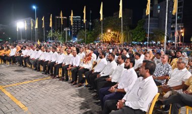 ރޭގައި ފެނިގެން އެދިޔައީ ކުޑަކުޑަ ޑެމޯއެއް