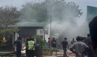 ދަރަވަންދޫގައި އަލިފާނުގެ ހާދިސާއެއް ހިނގައިފި