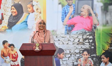 ހެޕިނަސް އިންޑެކްސް: ސާޖިދާ ހިންގާ ޖަރީމާއެއް