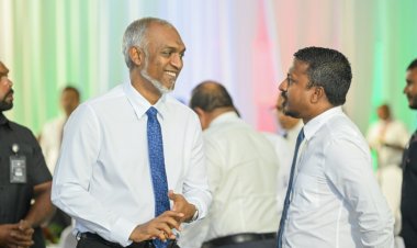 މުއިއްޒުގެ ގޮނޑިކޮއްކޮ ފަނޑިޔާރުންނަކީ ކޮންބައެއް؟