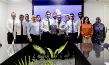 މުއިޒުގެ ޑީބީއެމް ފިލްމު ނުފެށެނިސް ޓްރައިލާ ފުލޮޕްވެއްޖެ
