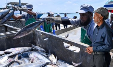100 ބިލޔަން ހުސްވާއިރު ކޯލްޑް ސްޓޯރޭޖު އިތުރެއް ނުކުރެވުނު!