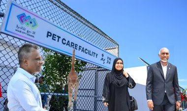 މުއިއްޒު ބޭނުމީ ބުޅަލުގެ ނަމުގައި ދައުލަތްދަވާލުމާއި ބުޅާކޮމިއުނިޓީ ވޯޓް.