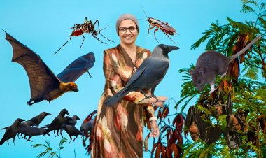 ވާލާއި ކާޅާއި މީދަލާއި މަދިރިއާއި އެކުގައި މަރިޔަނބު އުޅުއްވާ!