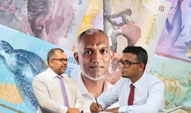 ރެކޯޑް މިންވަރަށް އާމްދަނީލިބުނަސް ވިއްކާ ޓީބިލް ދަރަނި މެކުހުގައި!