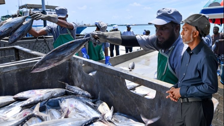 100 ބިލޔަން ހުސްވާއިރު ކޯލްޑް ސްޓޯރޭޖު އިތުރެއް ނުކުރެވުނު!