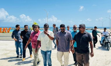 ބާމައިކާ ގެރިބޯ ތިލަދުންމައްޗަކަށް މިހާރަކު ނުވިކޭނެ!