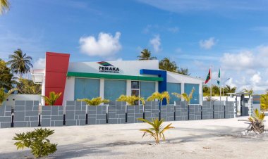 ފެނަކައިން ކޮރަޕްޝަން ހިންގާކަމަށް ބުނަނީ ކާމިޔާބީތަކަށް ޙަސަދަވެރިވެގެން