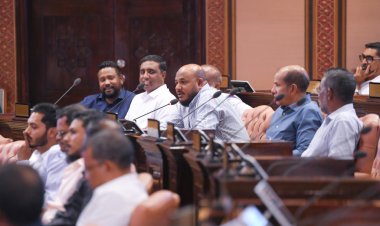 މަޖިލިހަށް ގާނޫނު އަސާސީ އިސްލާހު ކުރެވިގެން ނުވާނެ