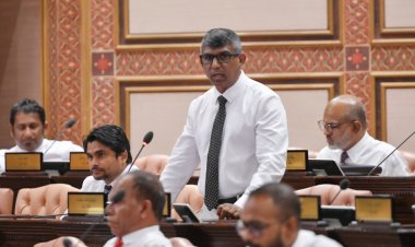 މީޑިއާ ކަސްތަޅު ބިލް ބޭރުނުކޮށް ދޭނެ ލަފައެއް މަޝްވަރާއެއް ނެތް