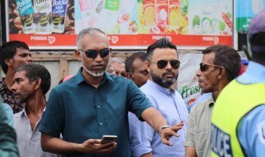 ވަޒީރު ޝިޔާމަށް: މުއިއްޒު ހާލިސް ވެރިއަކަށްވަނީ މަގާމާ ކާރަށްޓަކާ!