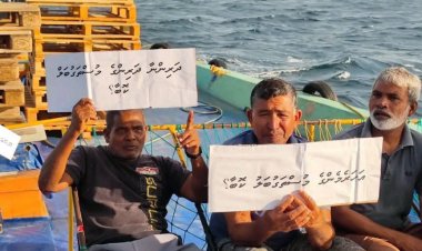 ހަނިފަރުބޭއަށް ދޮންފަނު ގުރުބާންކޮށް ފައިދާ އެހެން ބަޔަކަށް!