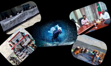 ރިސޯޓްތަކަށް އޮންނަ ދޮންފަނަށް ނުއޮންނަ ފަރުހައްގު