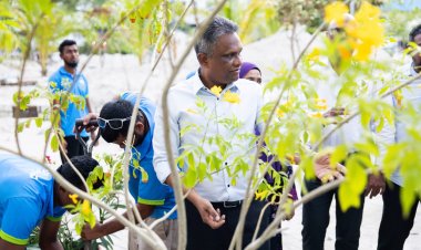 އާޒިމް މަސައްކަތް ކުރައްވަނީ އާއްމުންގެ ހިތާގާތުން
