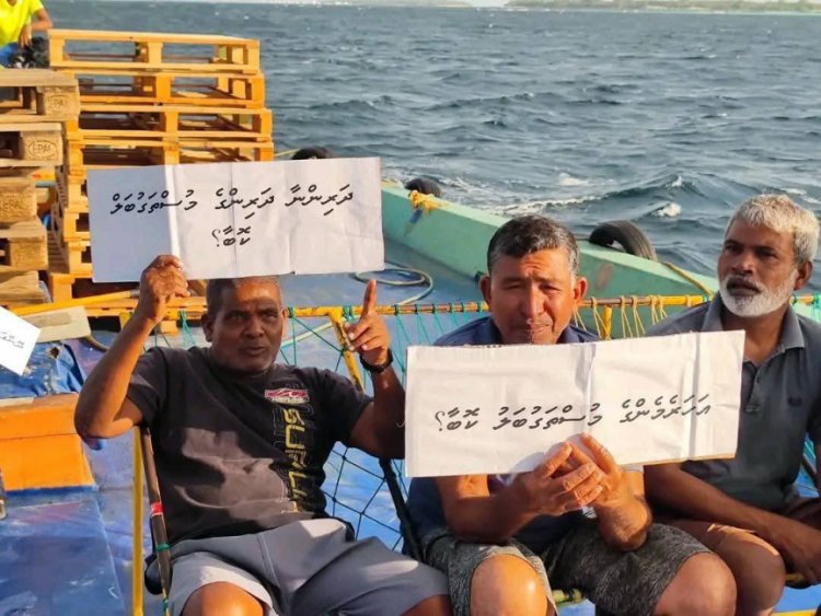 ހަނިފަރުބޭއަށް ދޮންފަނު ގުރުބާންކޮށް ފައިދާ އެހެން ބަޔަކަށް!