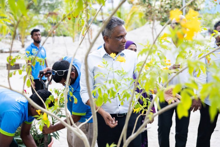 އާޒިމް މަސައްކަތް ކުރައްވަނީ އާއްމުންގެ ހިތާގާތުން