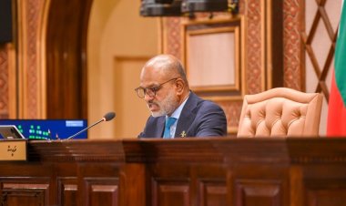 މުޖުރިމުންގެ އަތަށް ދައުލަތުގެ ސިއްރުތައް އެރުމުގެ ނުރައްކާ