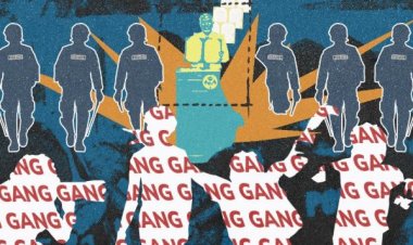 ގޭންގެއް ނެތް - އުތުރުން ދެކުނަށް ރާއްޖޭގައި ރައްކާތެރިކަމެއް ނެތް!