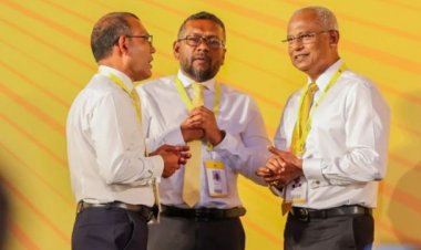 އެމްޑީޕީއަށް ނަޝީދުގެ ސައިޒް ދައްކާދިނީ ފައްޔާޒު