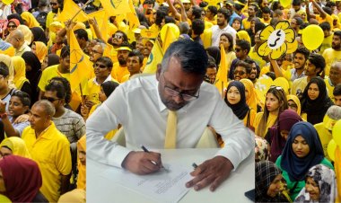 ފައްޔާޒު ދެއްކެވީ ރީތި ނަމޫނާއެއް