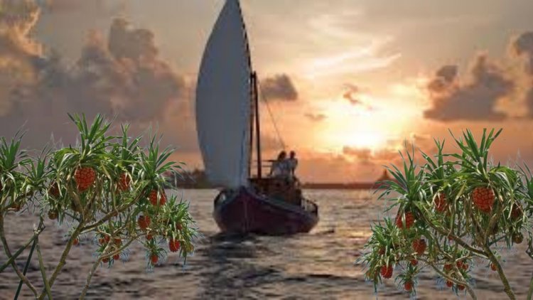 ނޫން ގޮތެއް ހޯދަން އުޅެވުނު ގޮތަކުން ދެ މޮހަނދުގެ ގޮއްޖެހުން!