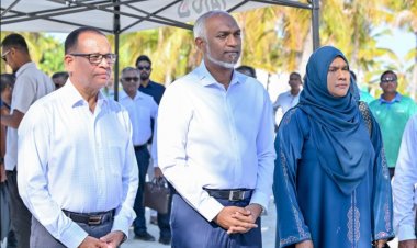 ސަރުކާރަށް ކައުންސިލްތައް ދޭންވީ ކީއްވެ!