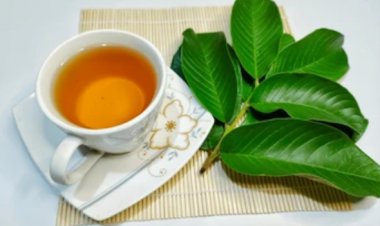 ފޭރުފަތަކީ ކުންޏެއް ނޫން - އަގުބޮޑު ޖަވާހިރެއް