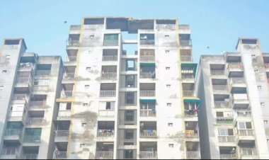 9 ވަނަ ބުރިން ފުންމާލައިގެން 3 އަންހެން ކުއްޖަކު މަރުވުން