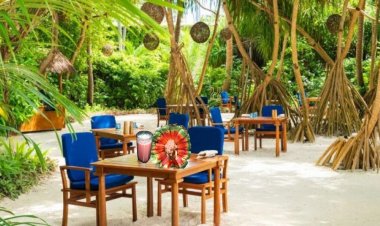 ހީރަސް ރެސިޕީ: ކަށިކެޔޮ މިލްކްޝޭކް