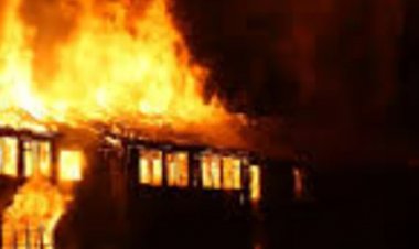 އެއްފައި ގަރުދިޔަޖަގަހައިގާ އަނެއްފައި ބުޅާފެސިލިޓީގާ ބާއްވައިގެން ފުލުފުލުން ރޯވުމެއް ނުހުއްޓުވޭނެ!