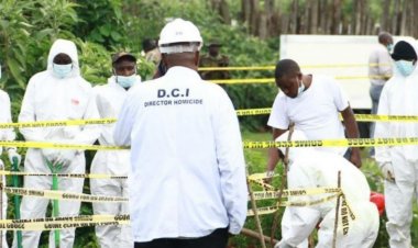 ގިނަ އަދަދަކަށް ކުޑަކުދިންގެ ހަށިތަކެއް ފުންވަޅުގަނޑަކުން ފެނިއްޖެ